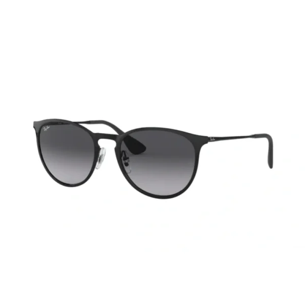 RayBan Erika Metal RB3539